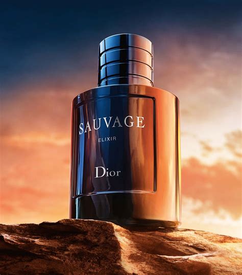 dior sauvage 100ml preis|dior sauvage elixir aanbieding.